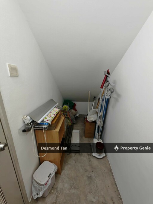 Summer S2 Heights Corner Lot Fully Furnished RM 2500