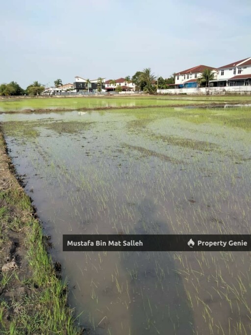 [POTENTIAL LAND FOR DEVELOPMENT] Mergong, Alor Setar