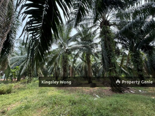 Sungai Siput Agriculture Land 3.2 Acres Flat Land Industrial Zone