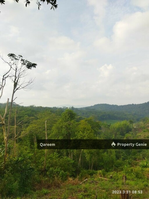6 Ekar Pertanian Jln Ulu Yam Lama Bukit Beruntung Selangor.