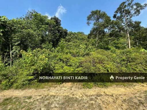 (HOT AREA) TANAH KEBUN DI BUKIT KUIN 2, KUANTAN