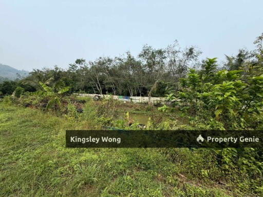 Jalong Tinggi Sg Siput Easy Entry with Asphalt Road 4 Acres Durian Orchard Farm