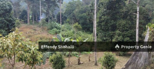 HULU LANGAT TANAH PERTANIAN