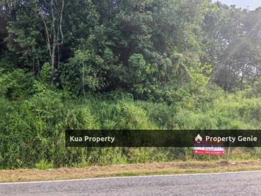 Main Roadside Land For Sale!  Located at Jambusan