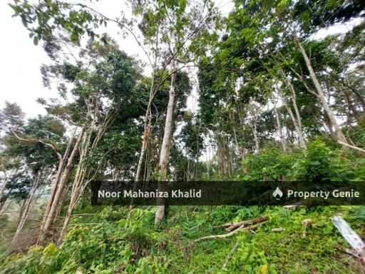 Tanah Pertanian Kampung Ibol Seberang @ Solok Lanjut Manis, Terachi Kuala Pilah