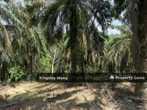 Sg Siput Perak Freehold Oil palm Agricultural land 3.5 acres  Slope land