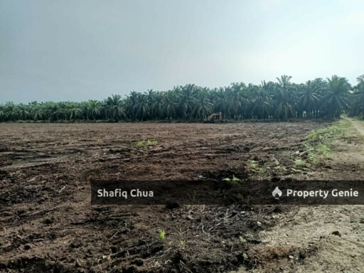 Flat & Cleared Land in Jln Raja Musa Jeram For Rent