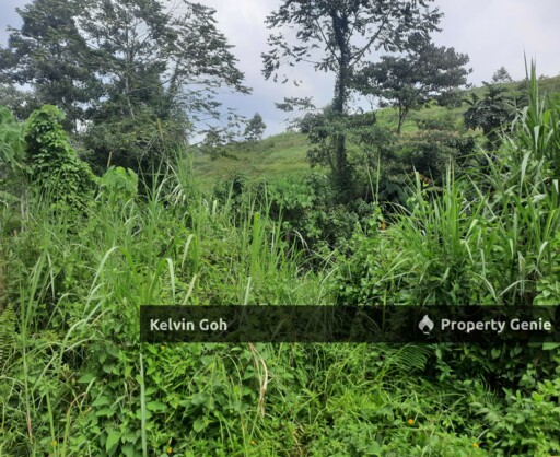 10 Acres Agriculture Land Freehold Temiang Seremban