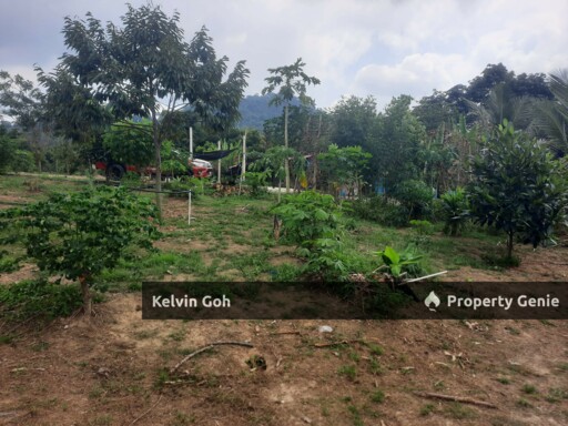 10 Acres Agriculture Land Freehold Temiang Seremban
