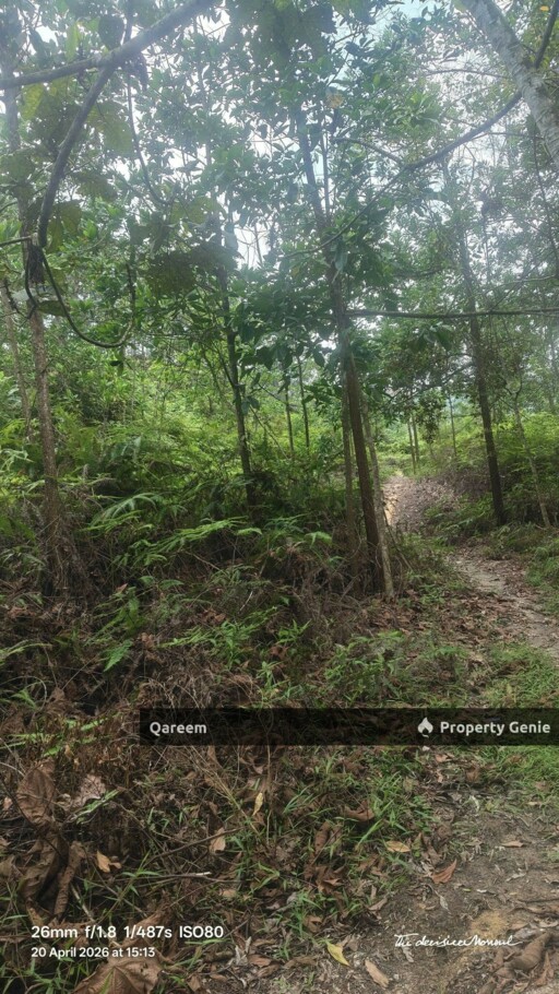 5 Ekar Sungai Tekali. Hulu Langat