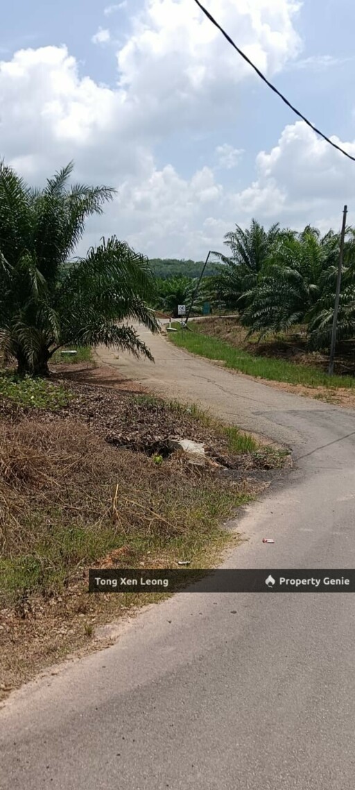 Rompin, Negeri Sembilan