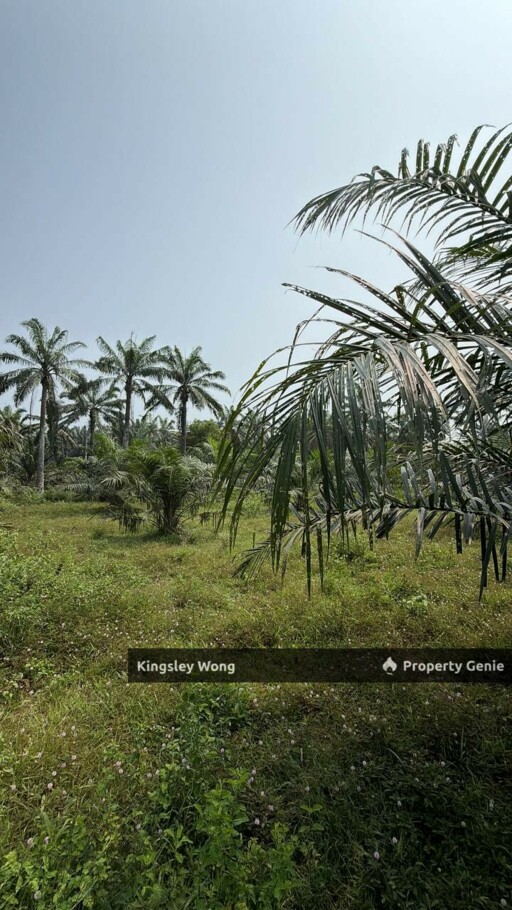 Sungai Siput 2 Acres Land Road Side Land Flat Land