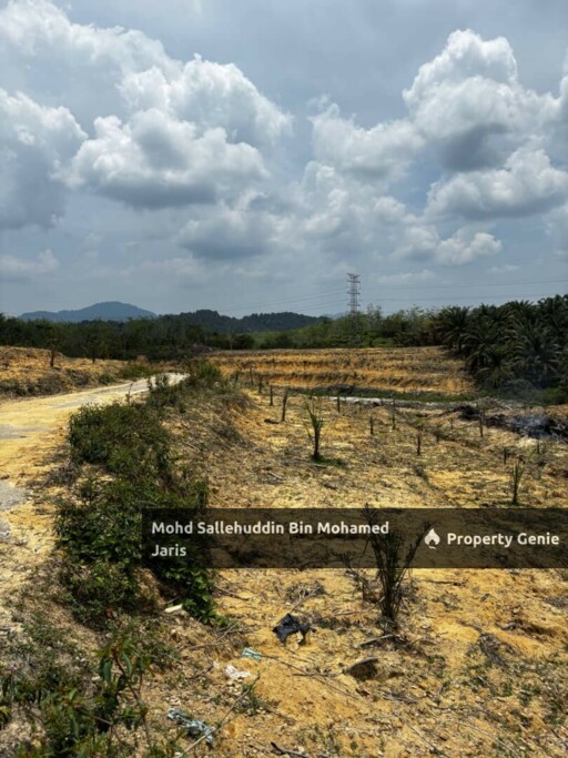 [BERHAMPIRAN JALAN UTAMA] TANAH PERTANIAN 4.9 EKAR, MUKIM TEBAK AIR PUTIH