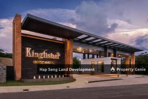Kingfisher Sandakan