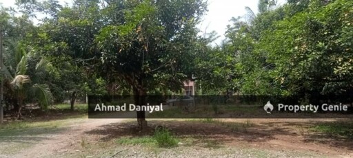 Oil Palm Land @ Ulu Cheka Jerantut Pahang For Sale