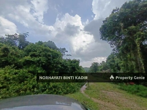 (BELOW MARKET) 2 EKAR TANAH PERTANIAN DI PEKAN, PAHANG