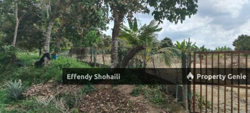 LENGGENG KG DACHING AGRICULTURAL LAND