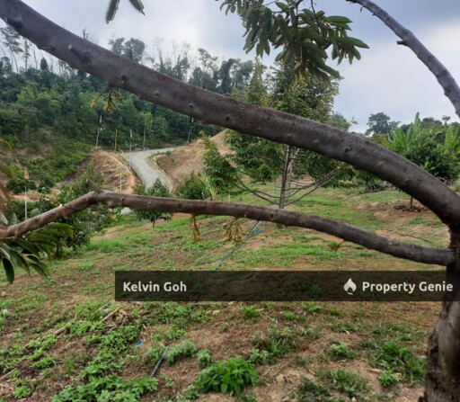 10 Acres Agriculture Land Freehold Temiang Seremban