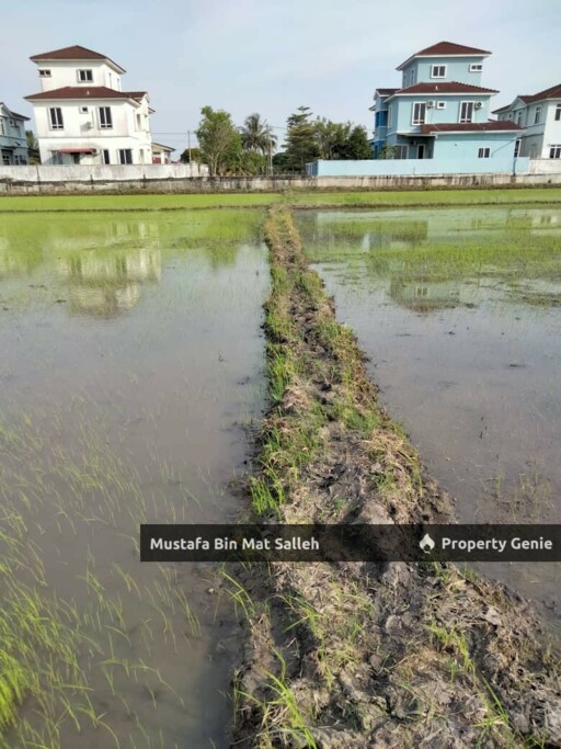[POTENTIAL LAND FOR DEVELOPMENT] Mergong, Alor Setar