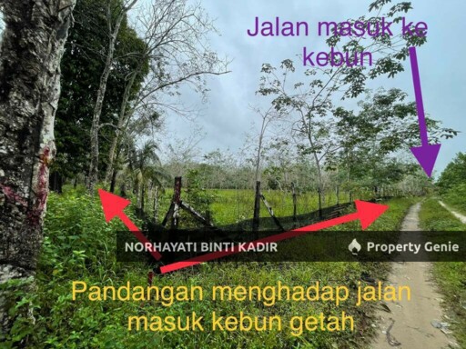 TANAH PERTANIAN KEBUN GETAH 7.5 EKAR DI PENOR