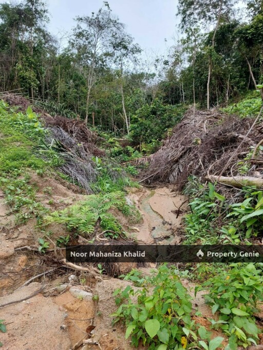 Tanah Pertanian Kampung Ibol Seberang @ Solok Lanjut Manis, Terachi Kuala Pilah