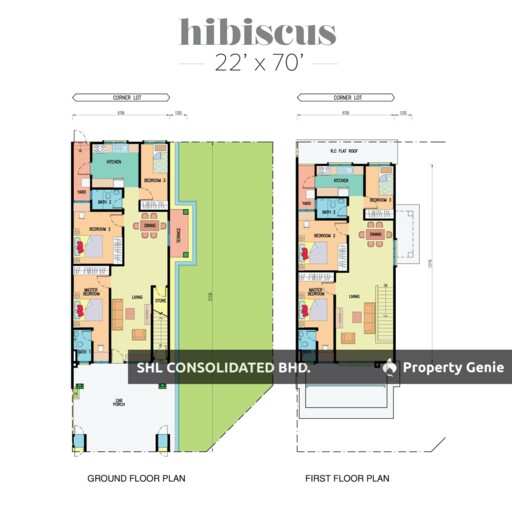 Hibiscus, Goodview Heights