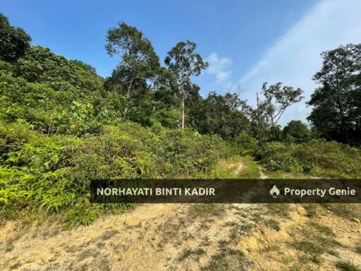 (HOT AREA) TANAH KEBUN DI BUKIT KUIN 2, KUANTAN