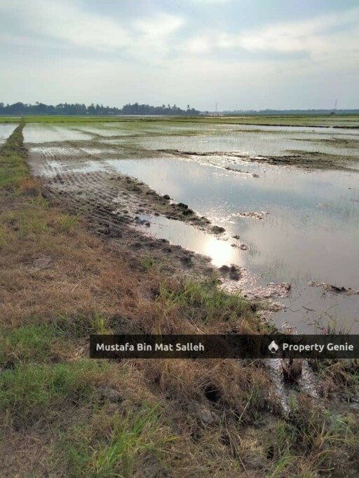 [POTENTIAL LAND FOR DEVELOPMENT] Mergong, Alor Setar
