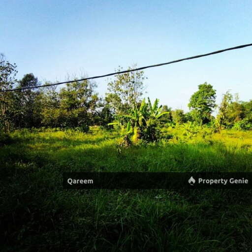 5.6 Ekar Tanah Pertanian Ulu Yam Batang Kali