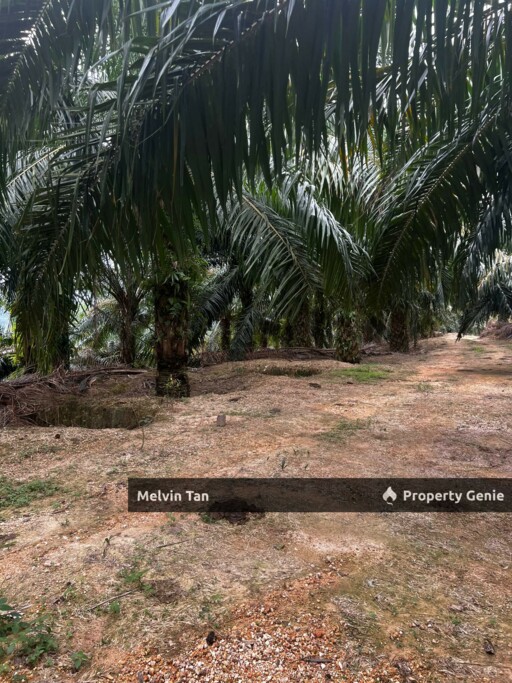 Alor Gajah,Ayer Paabas