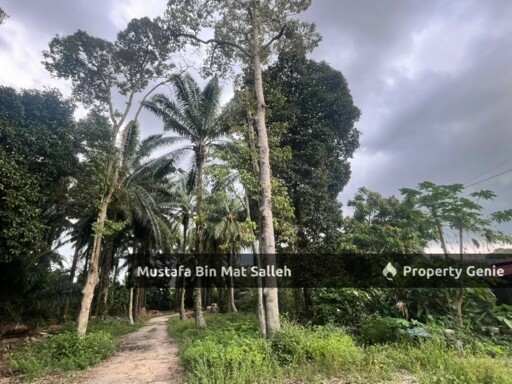 [Tanah Zon Kampung] Kg Air Melintas Besar, Tasek Gelugor