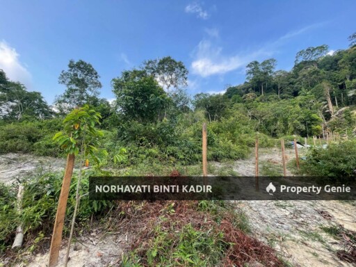 (HOT AREA) TANAH KEBUN DI BUKIT KUIN 2, KUANTAN