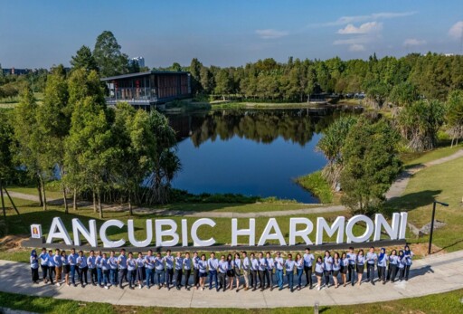 Ancubic Harmoni