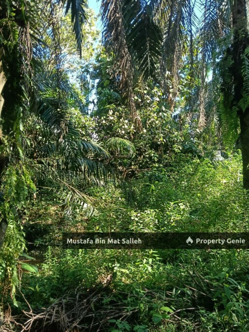 [FREEHOLD] Kampung Sungai Badak, Sedim, Kulim