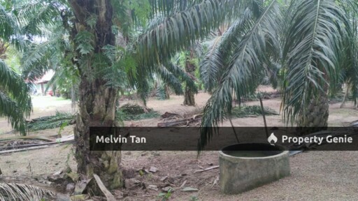 Jasin-Chin Chin