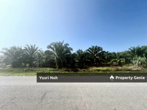 Agricultural Land – Kuala Langat, Selangor