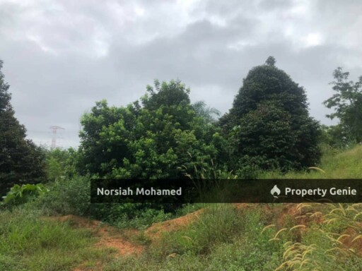 Tanah Potensi Emas - Sesuai Kebun Musang King  atau Projek Ternakan Ikan dan Ayam, Kuala Pajam, Beranang, Selangor