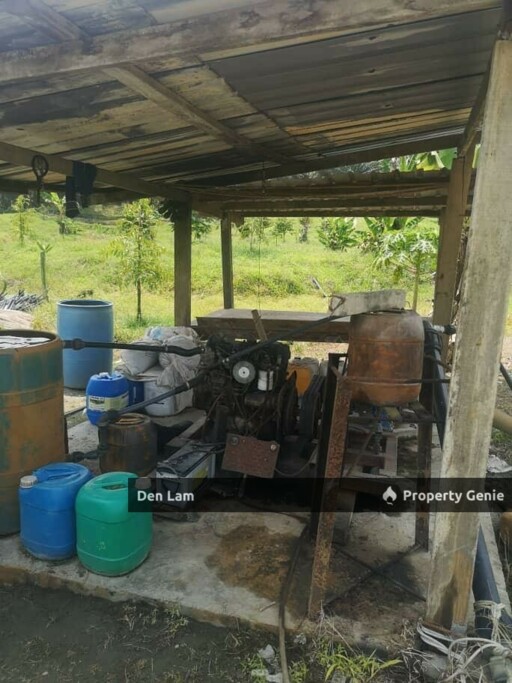 Raub Sungai Ruan Durian farm for sale !!