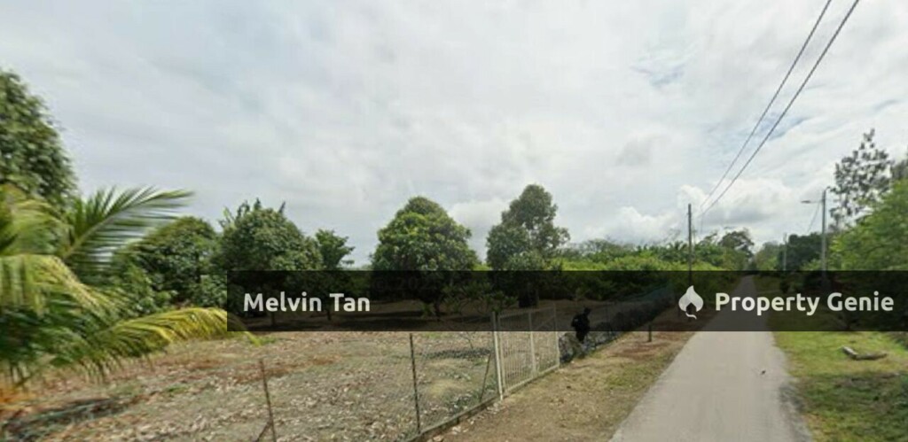 Bukit Lintang-Agriculture