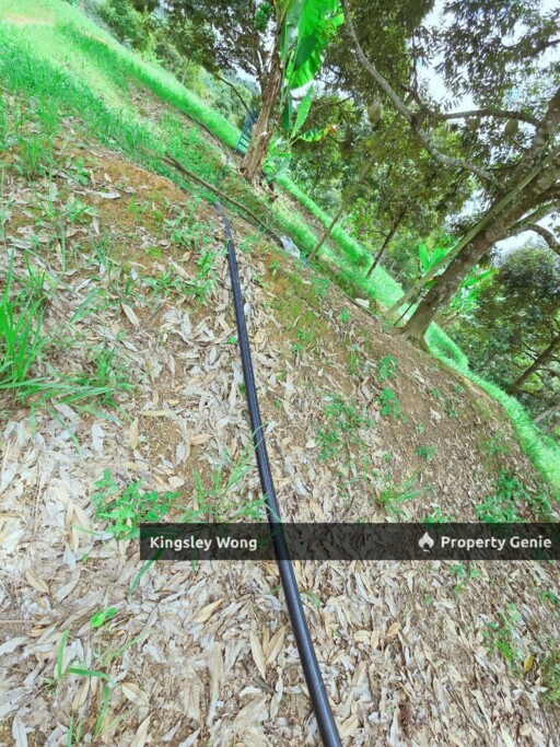 Liman Kati, Kuala Kangsar, Perak Freehold 5.9acres Agriculture land
