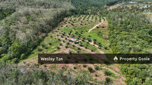 Durian Tunggal Below Value Oil Palm Approx 6.5acres land Freehold Road