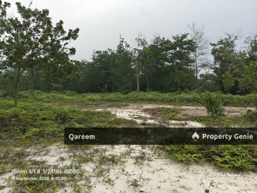 5.2 Ekar Sungai Tekali Hulu Langat