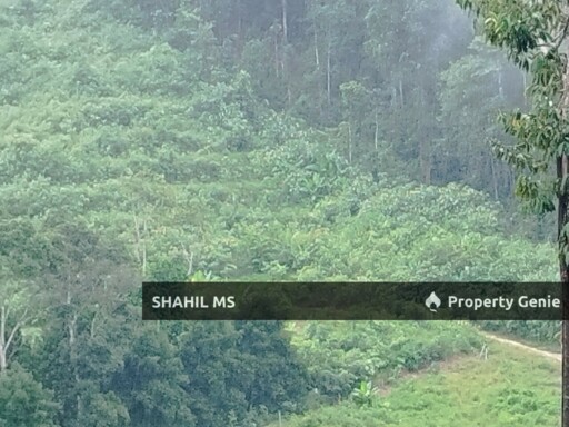 SEGAMAT JOHOR || LABIS || TANAH PERTANIAN || 1.3486 EKAR || RM125,000.