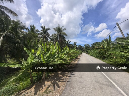 Freehold Agricultural Land Sabak Bernam Kampung Batu 38