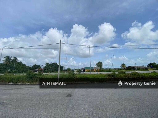 [1St LOT JALAN, 5 EKAR] Freehold Tanah Pertanian Ketapang Hilir, Pekan