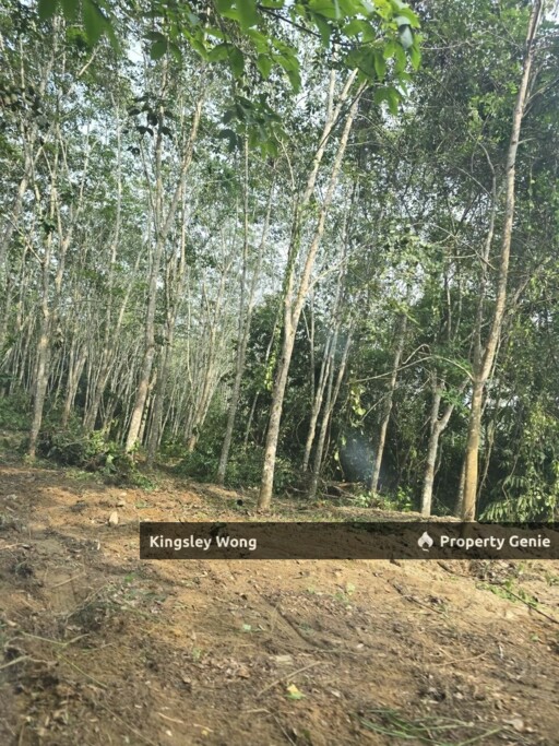 Freehold Agriculture Land Jerlun, Kuala Kangsar Beside Highway with Reserved Road