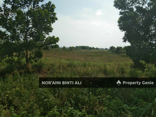 Tanah Tepi Jalan Utama Kuantan Pekan