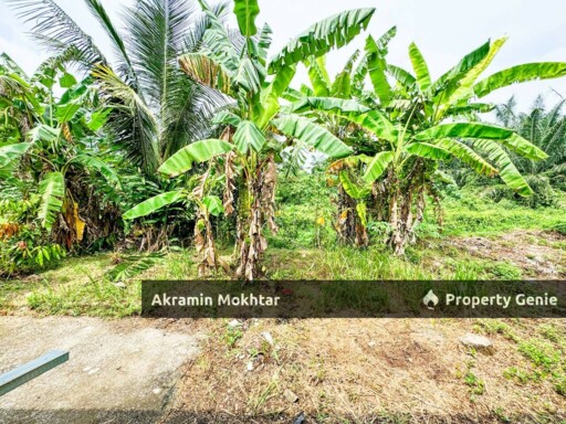 Freehold & Extended | Single Storey Terrace Hamzah Alang, Klang