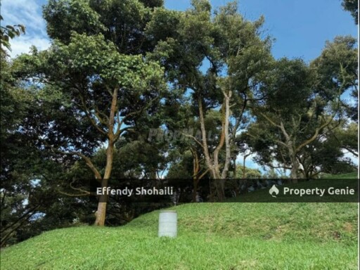 RAUB KG TRAS DURIAN ORCHARD