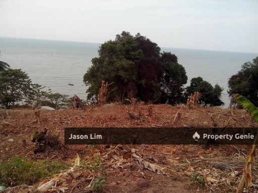 Mount Pleasure Development Land